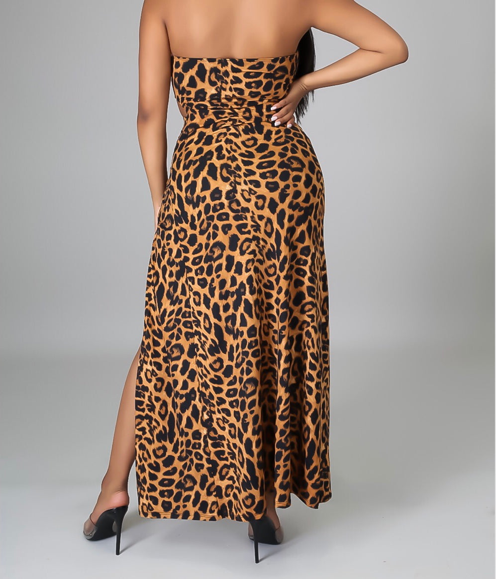 Cheetah Print 2 piece short set